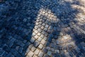 Detail of cobblestone path Royalty Free Stock Photo