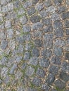 detail of a cobblestone street in Buenos Aires