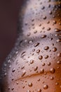 Detail of cold beer bottle Royalty Free Stock Photo