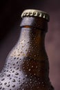 Condensated bottle of cold beer Royalty Free Stock Photo