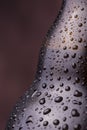 Water droplets on cold beer bottle Royalty Free Stock Photo