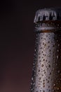 Water droplets on cold bottle of beer Royalty Free Stock Photo