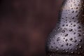 Water drops on cold bottle of beer Royalty Free Stock Photo