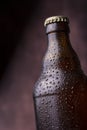 Wet bottle of cold beer Royalty Free Stock Photo