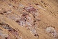 Detail of a Colorful Cliff in the Large Hamakhtesh Hagadol Crater in Israel