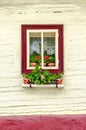 Detail of colorful window with flowers on old traditional house Royalty Free Stock Photo