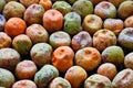 Detail of Colourful Fry Peas Out of a Pod Royalty Free Stock Photo