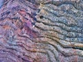 Detail of Colourful Sandstone Eroded by Sea Water, Textured Background