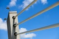 Detail of a concrete pillar with cables on cable, suspension bridge