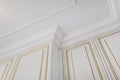 Detail of corner ceiling cornice with intricate crown molding Royalty Free Stock Photo