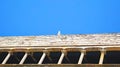 Detail of the cornice of a building in the Plaza de la Catedral, Barcelona