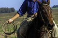 Detail of a cowboy with the lasso in his hand. Royalty Free Stock Photo