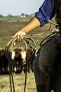 Detail of a cowboy with the lasso in his hand. this worker from the south of brazil Royalty Free Stock Photo