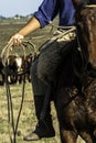 Detail of a cowboy with the lasso in his hand. this worker from the south of brazil Royalty Free Stock Photo