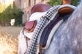 Detail of cowboy saddle placed on a horse in the field. Concept horse riding, animals, dressage, horsewoman, care, saddle