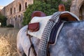 Detail of cowboy saddle placed on a horse in the field. Concept horse riding, animals, dressage, horsewoman, care, saddle