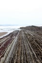 Detail of crazy rock formations geological phenomena called flysch to be found in Itzurun beach, Zumaia, Spain. Royalty Free Stock Photo