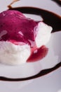 Detail of creamy dessert with berry sauce