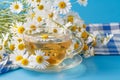 Detail of cup of herbal tea and chamomile. Royalty Free Stock Photo