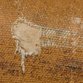 Detail (damage) of an old canvas suitcase, close-up