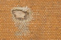 Detail (damage) of an old canvas suitcase, close-up