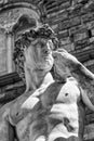 Detail of the David of Michelangelo Royalty Free Stock Photo