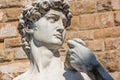 Detail of the David sculpture in Florence