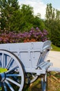 Detail of decorative wooden car with flowers