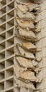 Detail of the demolition of an old stripped apartment tower in rabot neihgborhood, Ghent