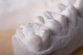 Detail dental wax model