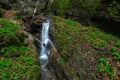 Detail from The Devil`s passage, Gorski Kotar