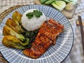 Detail of the dish made of baked crispy salmon covered with seasoning with Chinese bok choy vegetable Royalty Free Stock Photo