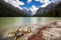 Detail of dobbiaco lake Royalty Free Stock Photo