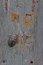 Detail of Door and abstract study Wood texture. Royalty Free Stock Photo