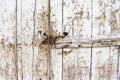 Detail of doorlock in wooden plank wall with peeling white color