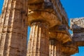 Detail of doric columns of the greek Temple of Hera-II. Paestum, Italy Royalty Free Stock Photo