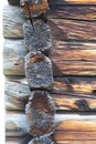 Detail of dovetail on traditional vintage wooden log cabin Royalty Free Stock Photo