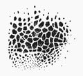 Detail drawn vector giraffe texture print pattern Royalty Free Stock Photo