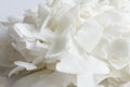 Detail of dried shaved coconut flakes Royalty Free Stock Photo