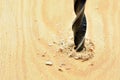 Drill opening a hole in a wooden board