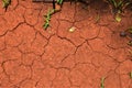 Dry cracked soil nature detail climate change Royalty Free Stock Photo