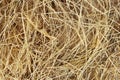 Detail of dry grass hay background Royalty Free Stock Photo