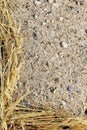 Detail of dry grass hay and sand Royalty Free Stock Photo