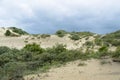 Detail of dunes park featuring bushes , sand and sea Royalty Free Stock Photo