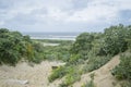 Detail of dunes park featuring bushes , sand and sea Royalty Free Stock Photo