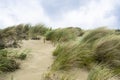 Detail of dunes park featuring bushes , sand and sea Royalty Free Stock Photo