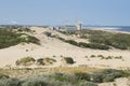 Detail of dunes park featuring bushes , sand and sea skyline on North Sea coast near the Hague Royalty Free Stock Photo