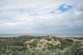 Detail of dunes park featuring bushes , sand and sea Royalty Free Stock Photo