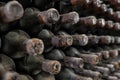 Detail of a dusty old wine bottle aging in a rack alongside other old wines