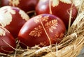 Easter eggs dyed with onion peels with a pattern of fresh plants on white background Royalty Free Stock Photo